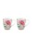 Blushing Birds Set of 2 Mugs Large Khaki