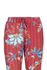 Lange Broek Flower Festival Rood