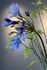 Pip Künstliche Blumen Blue Paradise