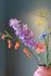 Pip Flowers Spring Blossom