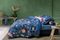 Neck Roll Flower Festival Dark Blue
