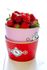 Love Birds Kom Rood 20 cm