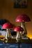Mushroom Glass 40 cm