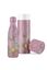 Okinawa Thermosfles Lila 500ml
