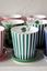 Tasse de Petite Taille & Conseil de Thé Royal Stripes Vert
