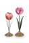 Set/2 Tulpe Kerzenhalter Metall Rosa