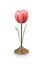 Set/2 Tulpe Kerzenhalter Metall Rosa