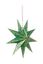 Christmas Star Paper Overall Print Dark Green 60cm