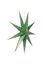 Christmas Star Paper Overall Print Dark Green 110cm