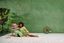 Noa Kimono Hakuna Light Green