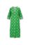 Tunic Fiesta de Flamencos Green