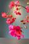 Sparkling Roses Pip Flowers
