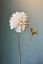 Pip Kunstbloemen Soft Bloom