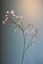Pip Kunstbloemen Soft Bloom
