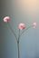 Pip Kunstbloemen Soft Bloom