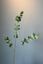 Pip Kunstbloemen Soft Bloom
