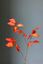 Pip Kunstbloemen Warm Winter