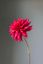 Pip Kunstbloemen Warm Winter