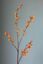 Pip Artificial Flowers Orange Glow
