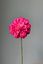 Pip Artificial Flowers Orange Glow