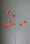 Pip Artificial Flowers Orange Glow