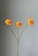 Pip Kunstbloemen Winter Spring