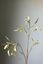 Pip Kunstbloemen Winter Spring