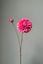 Pip Kunstbloemen Winter Spring