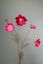 Pip Kunstbloemen Winter Spring