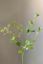 Pip Artificial Flowers Sunset Glow