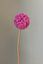 Pip Artificial Flowers Sunset Glow