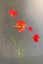 Pip Artificial Flowers Sunset Glow