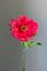 Pip Kunstbloemen Joyful Blooms