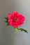 Pip Künstliche Blumen Blooming Love