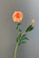 Pip Künstliche Blumen Blooming Love