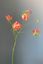 Pip Artificial Flowers Blossoming Delight