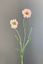 Pip Kunstbloemen Soft Harmony