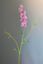Pip Kunstbloemen Blushing Meadows