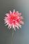 Pip Kunstbloemen Blushing Meadows
