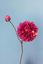 Pip Fleurs Artificielles Autumn Glory