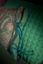 Cushion Little Jabali Green