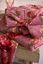 Lot de 3 Serviettes Invité Secret Garden Mauve 30x50 set a 3