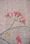Teppich Jolie by Pip Vintage Rosa 