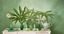 Set/3 Petits Vases en Verre Bleu-Vert