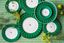 Love Birds Assiette Plate Rayures Vert 26.5cm