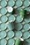 Royal Stripes Mug Dots & Tea Tip Green