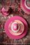 Pip Chique Dinerbord Roze 28cm