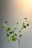 Pip Kunstbloemen Rosefield Dreams