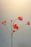 Pip Kunstbloemen Rosefield Dreams