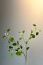 Pip Kunstbloemen Peach Blossom